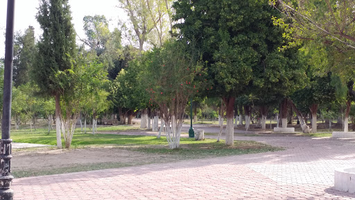 Parque Las Auras, Prol. Coahuila 500, Niños Heroes II, Constitución, 35158 Cd Lerdo, Dgo., México, Parque | DGO