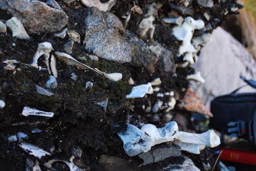 Rising temperatures threaten Greenland's archaeological treasures Rising temperatures threaten Greenland's archaeological treasures