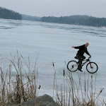 so of course I had to try riding my bike on a frozen lake past the frozen cat-tails!