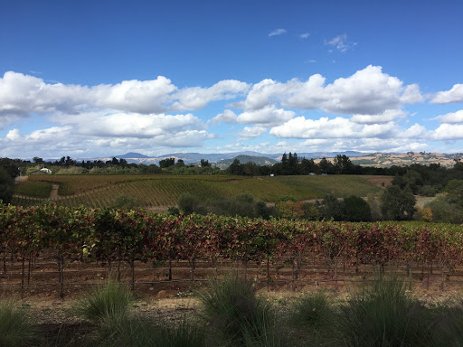 Winery «MacRostie Winery & Vineyards», reviews and photos, 4605 Westside Rd, Healdsburg, CA 95448, USA