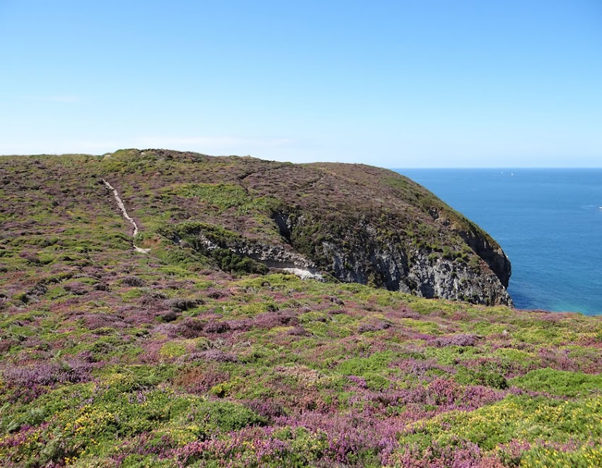 Le cap Fréhel par Bretagne-web.fr