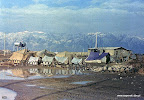 Kliknij by wejść http://lh4.googleusercontent.com/-3XhIwrHqZQ0/T7ZhcaRAtUI/AAAAAAAAJ4k/Am8Qs7Ixskk/s144/saperski-345-65.jpg