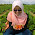 Siti Aisya Ibrahim avatar