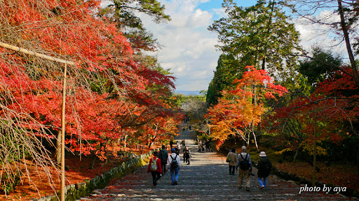 紅葉の馬場