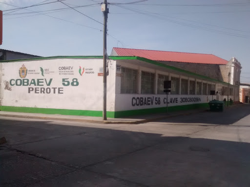 COBAEV 58 Colegio de Bachilleres del Estado de Veracruz, Vicente Guerrero 14, Centro, 91270 Perote, Ver., México, Escuela pública | VER