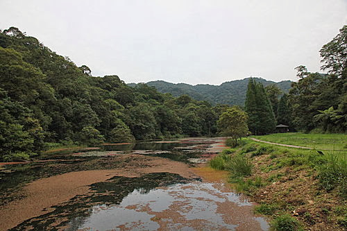 IMG_0046