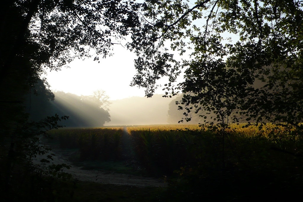 rencontres sur le chemin de compostelle
