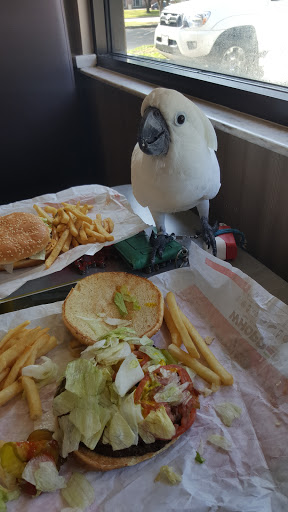 Fast Food Restaurant «Burger King», reviews and photos, 7802 Hwy 6 N, Houston, TX 77095, USA