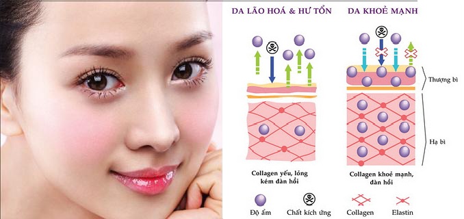 Collagen có tốt như quảng cáo có thẩm thấu được qua da ? Collagen có tốt như quảng cáo có thẩm thấu được qua da ?