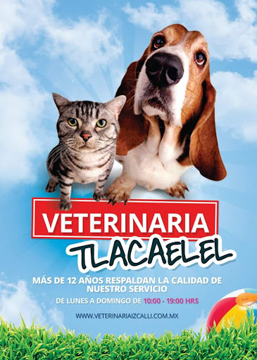 Atencion Integral Veterinaria Izcalli, Los Reyes Mz7 Lt3, Santa Rosa De Lima, 54740 Cuautitlán Izcalli, Méx., México, Cuidados veterinarios | EDOMEX