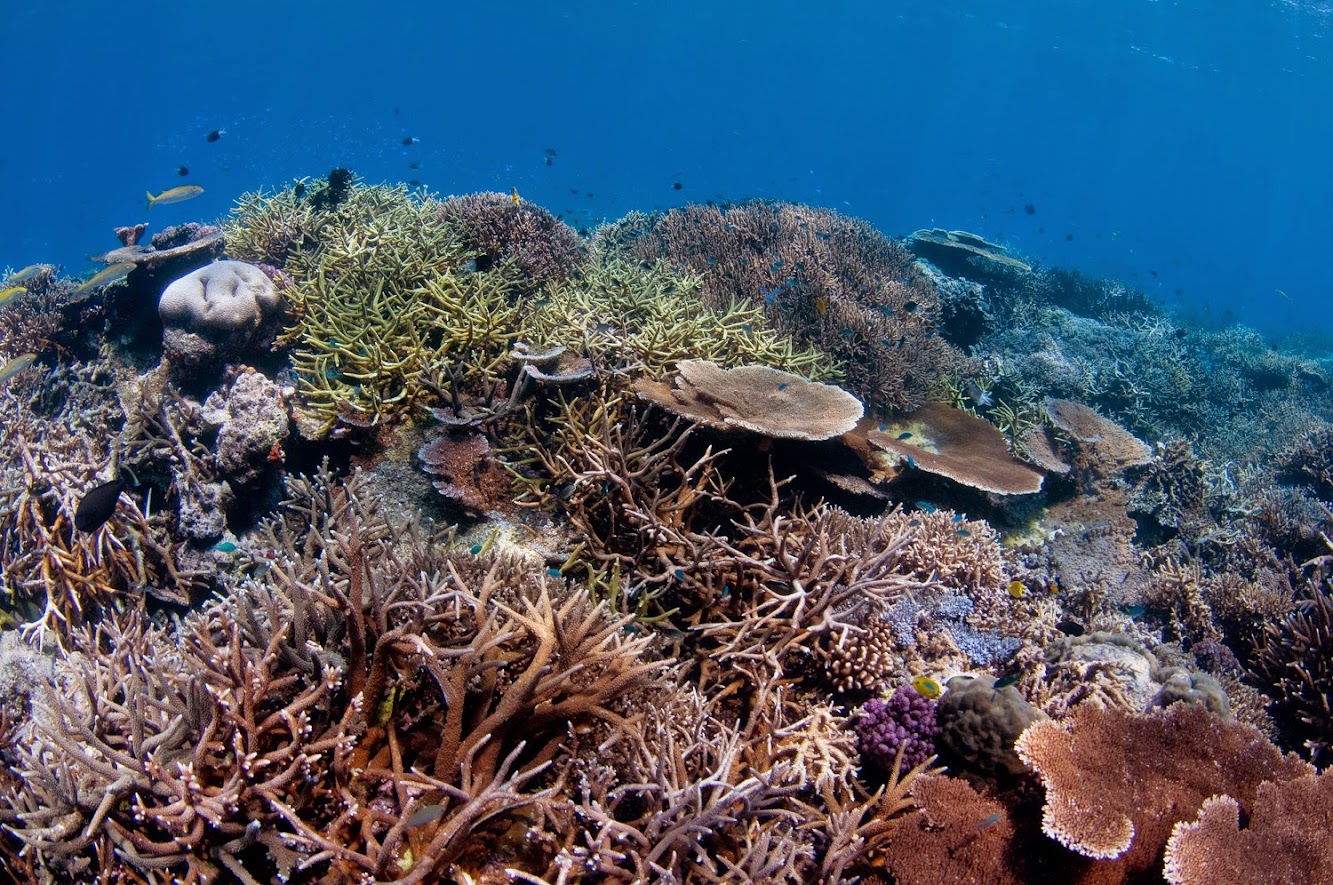 World Heritage Sites risk collapse without stronger local management World Heritage Sites risk collapse without stronger local management