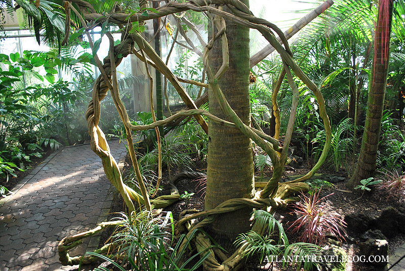 tropical botanical garden