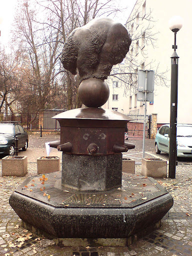 Miś oligoceński