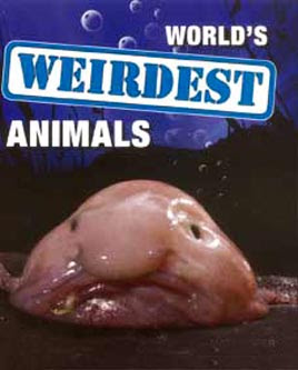 Najdziwniejsze zwierzęta świata / World's Weirdest (2011) PL.TVRip.XviD / Lektor PL Najdziwniejsze zwierzęta świata / World's Weirdest (2011) PL.TVRip.XviD / Lektor PL
