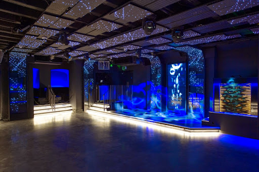 The Shadow Lounge