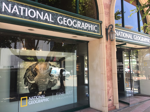 Art Gallery «National Geographic | Fine Art Galleries», reviews and photos, 7979 Ivanhoe Ave, La Jolla, CA 92037, USA