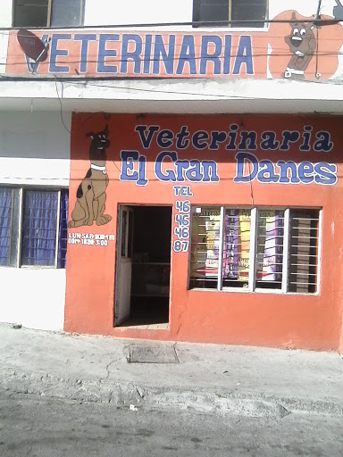 Clínica Veterinaria El Gran Danes, Calle Profesor Rodolfo González 101, Solidaridad Social, 66050 Cd Gral Escobedo, N.L., México, Veterinario | NL