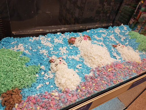 Pet Supply Store «PetSmart», reviews and photos, 400 S State Rd, Springfield, PA 19064, USA