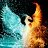 Silver Phoenix