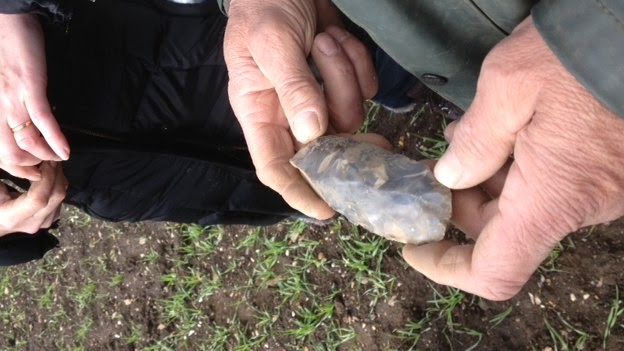 Rare Irish Stone Age site 'badly damaged' Rare Irish Stone Age site 'badly damaged'