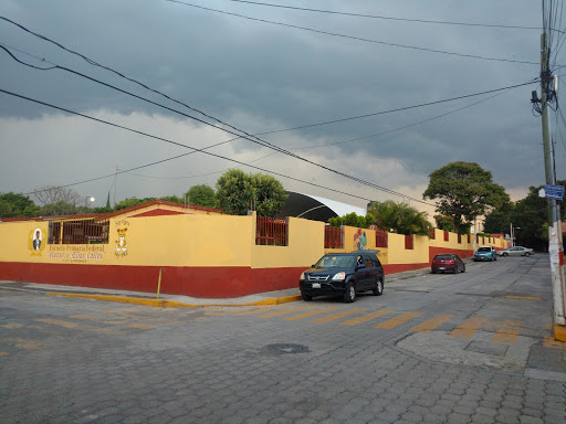 Primaria Plutarco Elías Calles, Avenida 16 Poniente 102, Ahuehuetes, 74220 Atlixco, Pue., México, Escuela de primaria | PUE