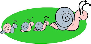 Caracol mamá con sus crias Caracol mamá con sus crias