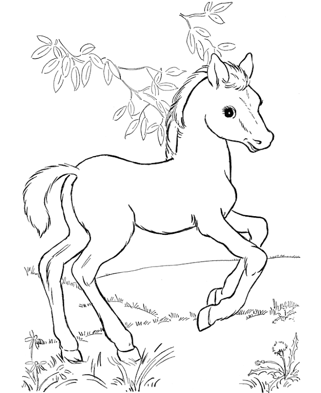 Top 25 Free Printable Horse Coloring Pages Online - printable horses coloring pages