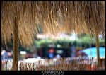 Hiding from the sun - Thasos - August 2012 - Photo by Ciprian Neculai / http://artandcolor.ro Hiding from the sun - Thasos - August 2012 - Photo by Ciprian Neculai / http://artandcolor.ro