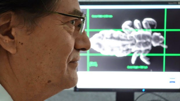 Chile's quest to save melting mummies Chile's quest to save melting mummies