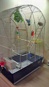 IMAG0418.jpg