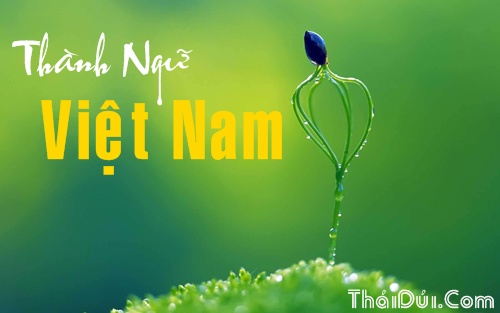 Bài thơ lục bát được viết từ các câu thành ngữ VN Bài thơ lục bát được viết từ các câu thành ngữ VN