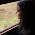 Marina Sampaio avatar