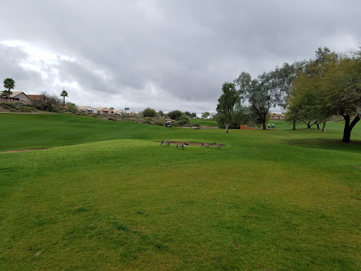 Golf Club «Coyote Lakes Golf Club», reviews and photos, 18800 N Coyote Lakes Pkwy, Surprise, AZ 85374, USA