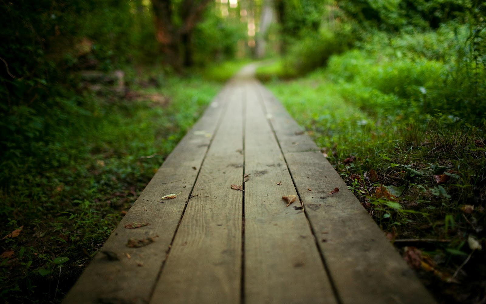 imagenes de paisajes tristes gratis :: AngelsOfUpload.at - Imagenes De Paisajes Tristes