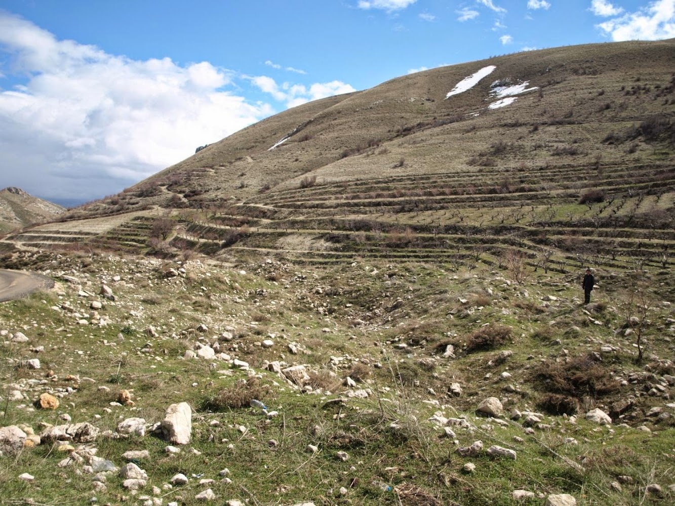 The archaeology of conflict-damaged sites The archaeology of conflict-damaged sites