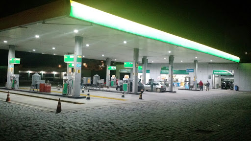 Posto Petrobras, Marginal Rodovia BR 101 - Centro, Biguaçu - SC, 88160-000, Brasil, Bomba_de_Gasolina, estado Santa Catarina