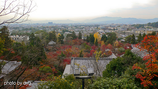 多宝塔からの景色