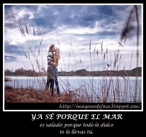 Imágenes tiernas de parejas de animales Fotos Bonitas de - Imagenes De Parejas Enamoradas Tiernas