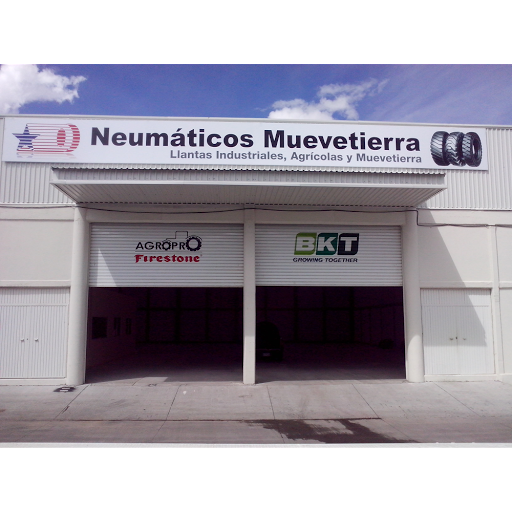 Neumaticos Muevetierra, Sucursal Zamora, 59617, Carr. Zamora -La Barca Bodega 4, 59617 Zamora, Mich., México, Tienda de neumáticos | MICH