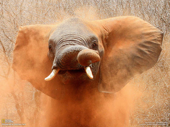  National Geographic