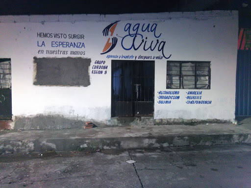 Agua Viva Córdoba, Calle 19 1020, Las Flores, 94620 Córdoba, Ver., México, Programa de tratamiento del alcoholismo | VER