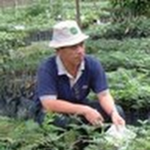 Musa Yaacob Musa Yaacob