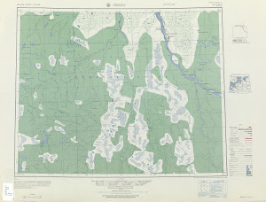Thumbnail U. S. Army map nq37-11