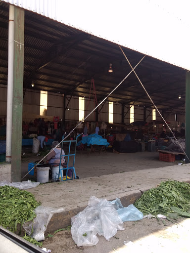 Mercado Hermanos Serdan, Anaya 200, Segundo Barrio, 74160 Huejotzingo, Pue., México, Mercado de productos agrícolas | PUE