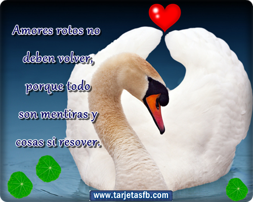 San Valentín el día de los enamorados imágenes Frases - Imagenes Para El Dia De San Valentin Con Frases