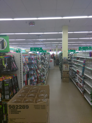 Dollar Store «Dollar Tree», reviews and photos, 955 N McLean Blvd, Elgin, IL 60123, USA