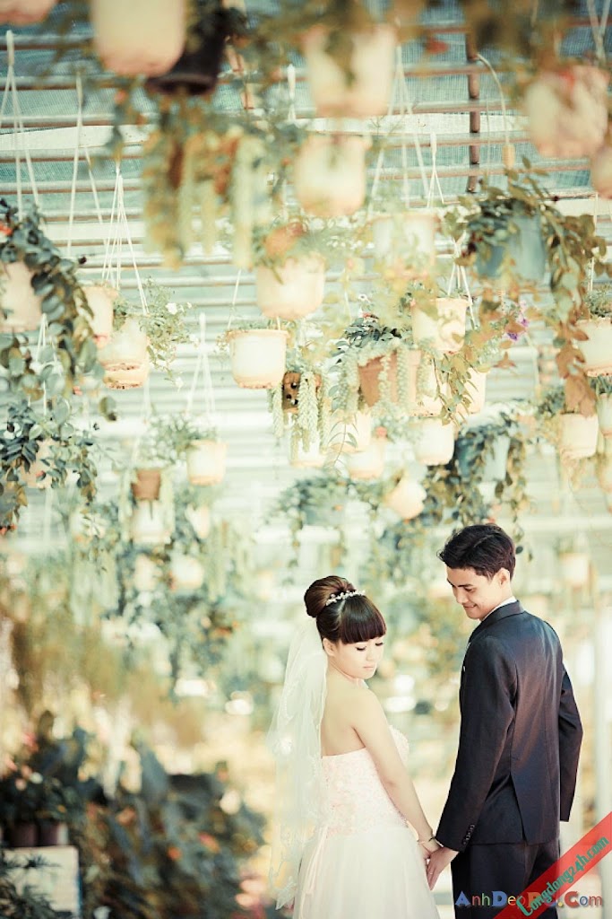 congdong24h.com-5album-anh-cuoichi-co-the-la-tinh-yeu.jpg