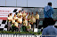 Sharjah - U.A.E. - 14 December, 2007 - The day of the race of the GP of Sharjah at Kaled Lagoon. The final results are: Sami Selio of F1 Team Energy is the winner and new world champion 2007, Jay Price Qatar Team second and third David Trask XPV Racing. This GP is the 8th leg of the UIM F1 Powerboat World Championship 2007. Picture by Vittorio Ubertone/Idea Marketing. Sharjah - U.A.E. - 14 December, 2007 - The day of the race of the GP of Sharjah at Kaled Lagoon. The final results are: Sami Selio of F1 Team Energy is the winner and new world champion 2007, Jay Price Qatar Team second and third David Trask XPV Racing. This GP is the 8th leg of the UIM F1 Powerboat World Championship 2007. Picture by Vittorio Ubertone/Idea Marketing.