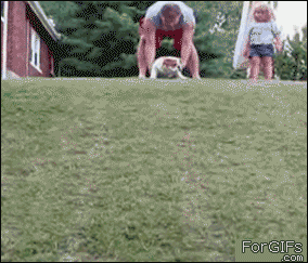 10 Funny And Awesome GIFs