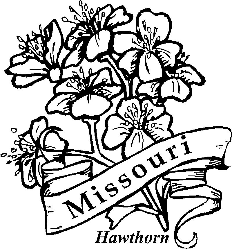 Adult coloring pages -Fantasy-Fruits-Flowers Homes-n - printable coloring pages for adults flowers